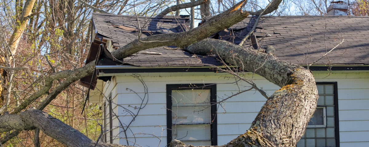 Tree trunk and branches crash through the roof of a house in the aftermath of a severe storm