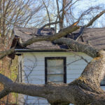 Tree trunk and branches crash through the roof of a house in the aftermath of a severe storm